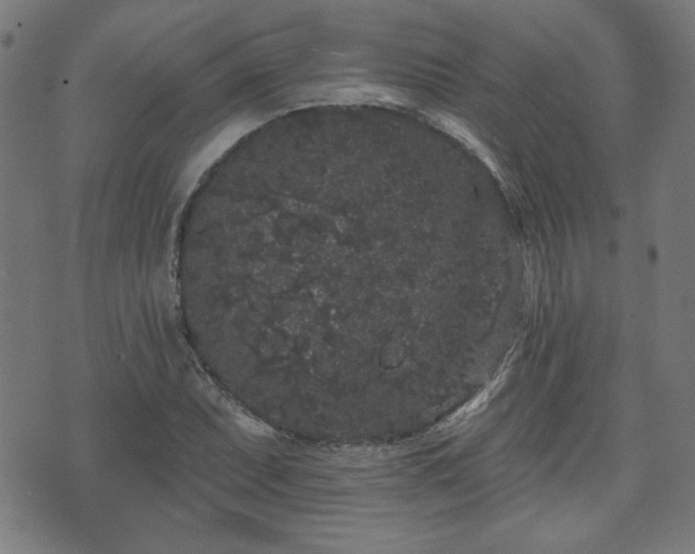 X0000071361071200606261311