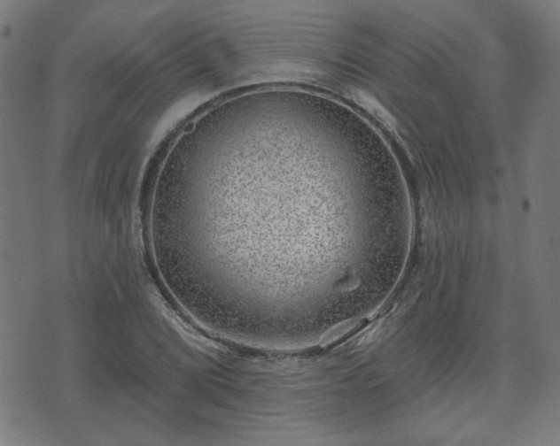 X0000071361072200606261311
