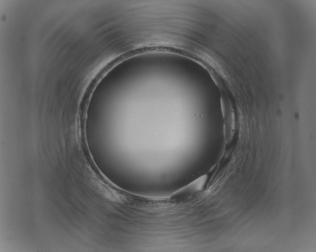 X0000071361076200606261311