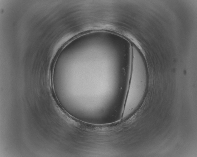 X0000071361080200606261311