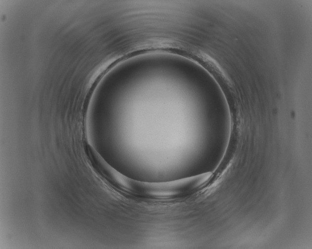 X0000071361081200606261311