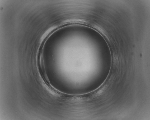 X0000071361082200606261311