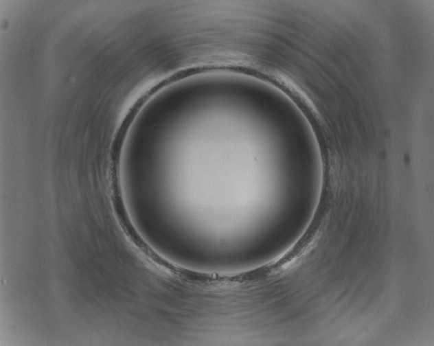 X0000071361085200606261311