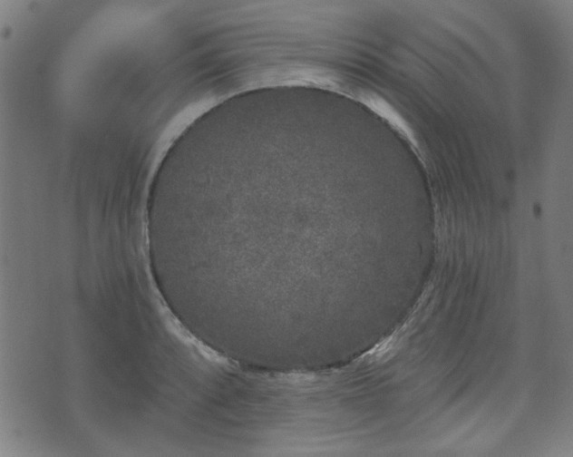 X0000071361088200606261311