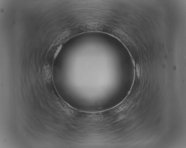 X0000071361107200606261310