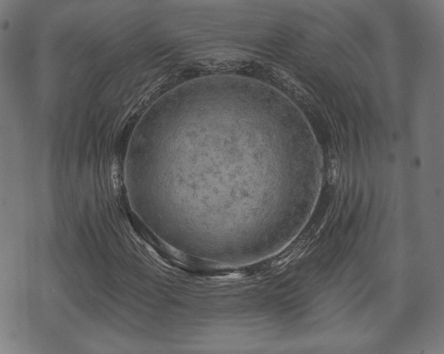 X0000071361108200606261310
