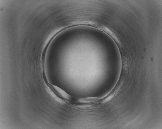 X0000071361140200606261310