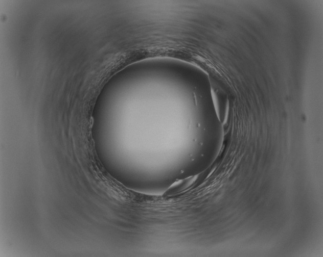 X0000071361153200606261309