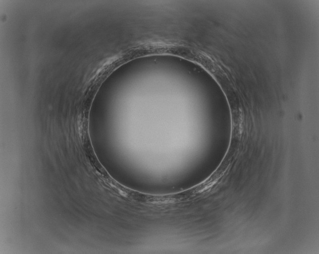 X0000071361157200606261309