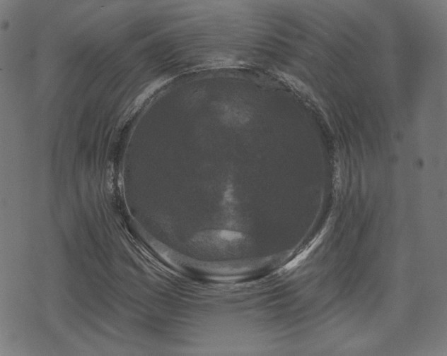 X0000071361161200606261309