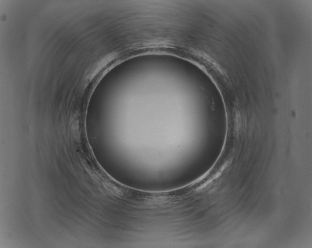 X0000071361162200606261309