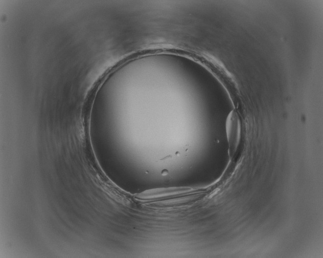 X0000071361167200606261309