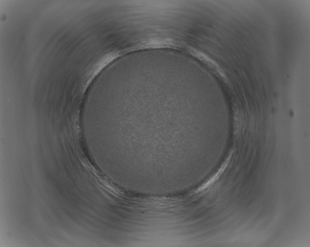 X0000071361170200606261309