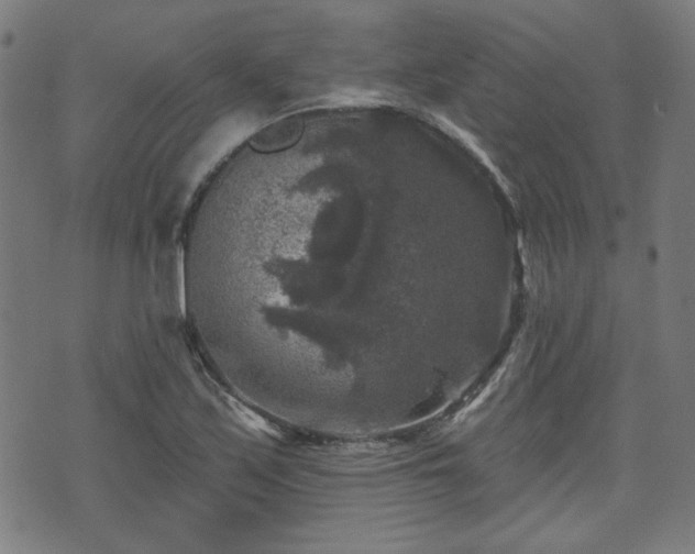 X0000071361171200606261309