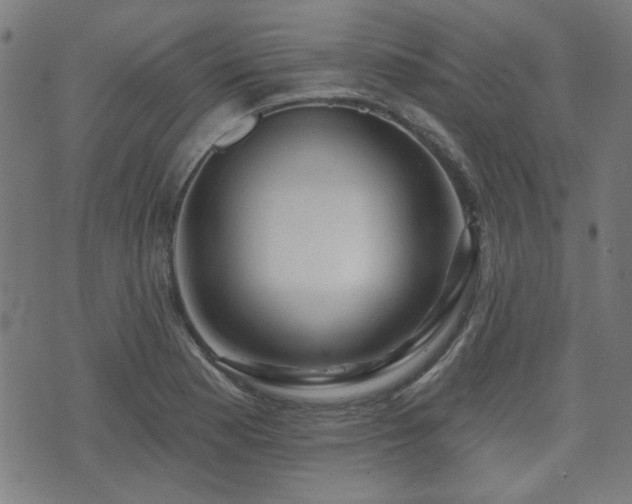 X0000071361177200606261309