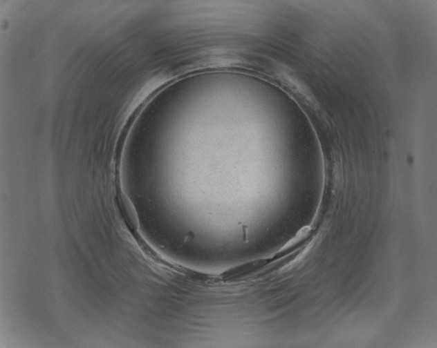 X0000071361178200606261309