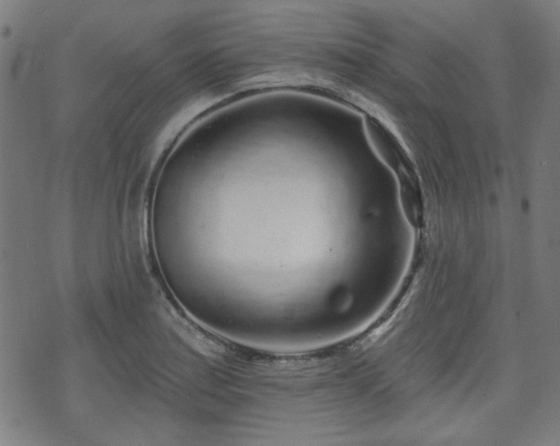 X0000071361179200606261309