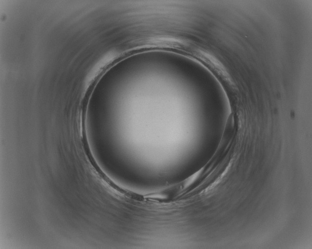 X0000071361180200606261309