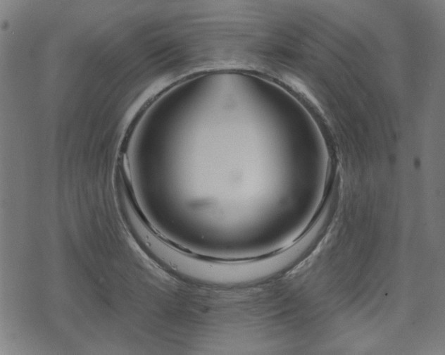 X0000071361181200606261309