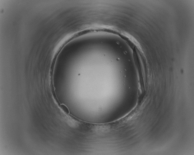 X0000071361183200606261309