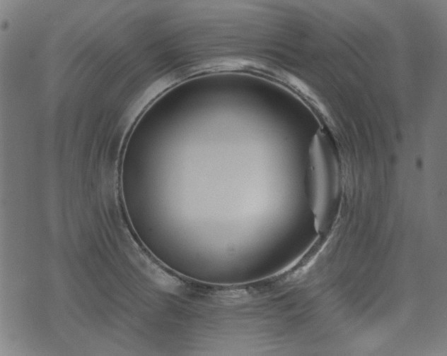 X0000071361186200606261309