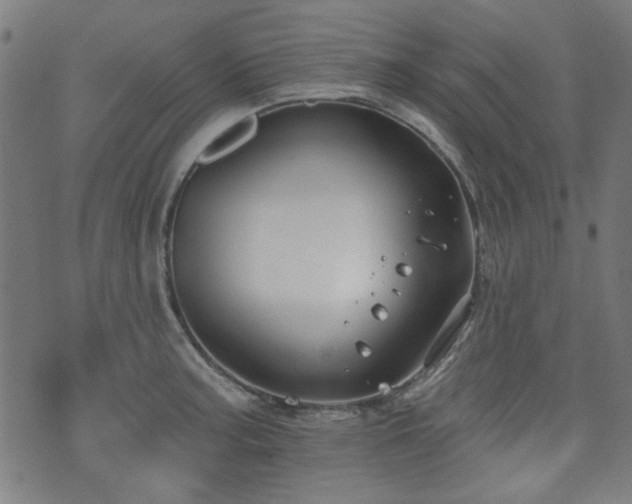 X0000071361187200606261309