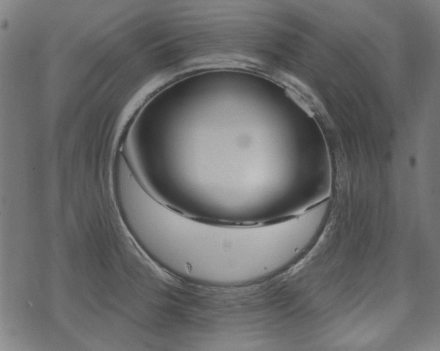 X0000071361188200606261309