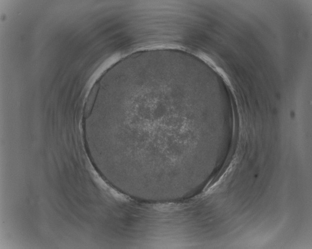 X0000071361189200606261309