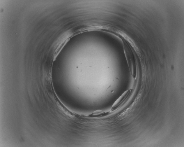 X0000071361193200606261309