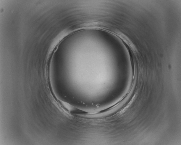 X0000071361196200606261309