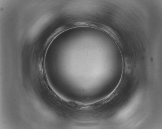 X0000071361198200606261309