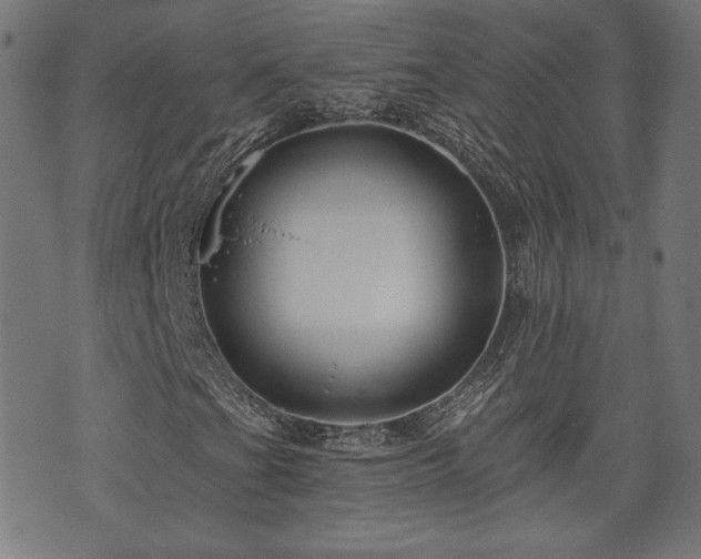 X0000071361201200606261308