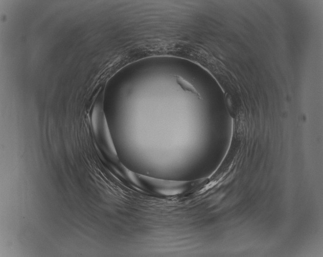 X0000071361202200606261308