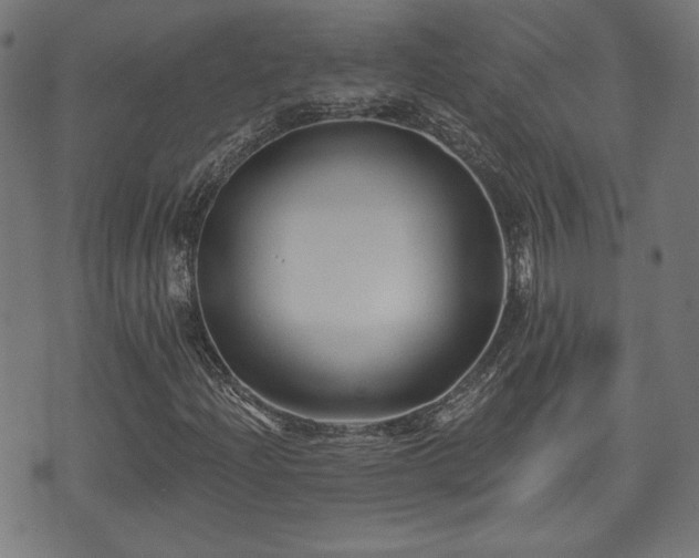 X0000071361204200606261308