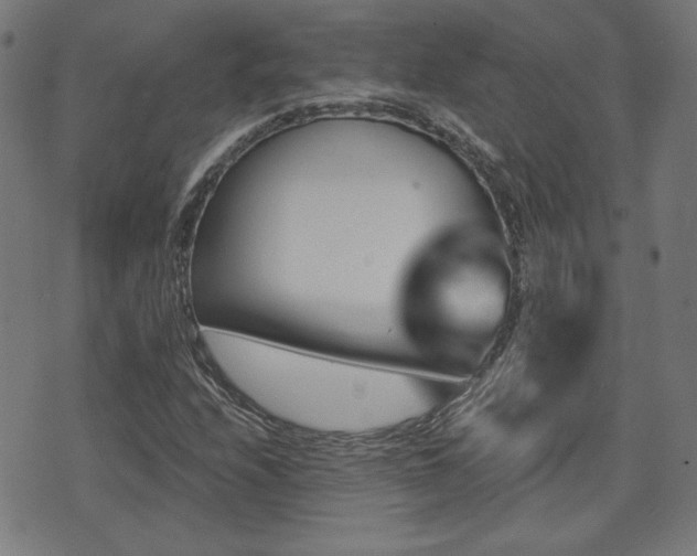 X0000071361208200606261308