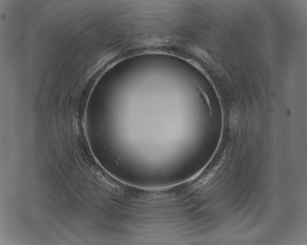X0000071361209200606261308