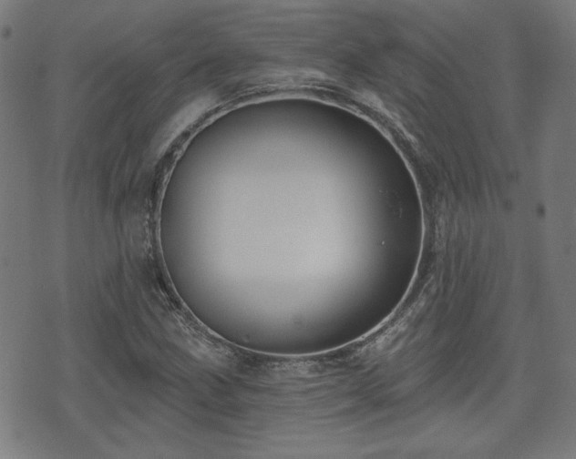 X0000071361211200606261308