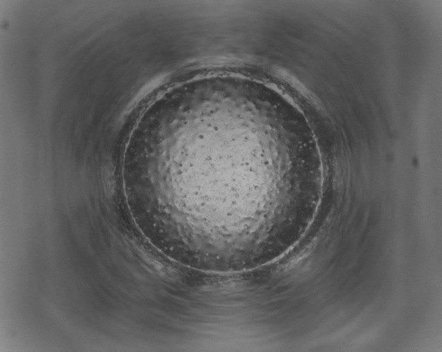 X0000071361213200606261308