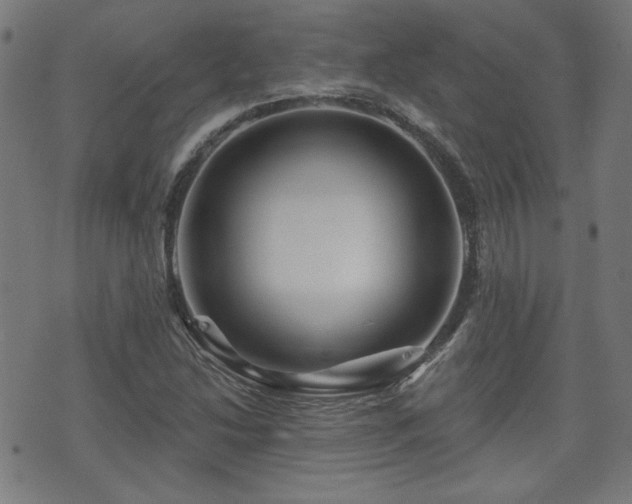 X0000071361214200606261308