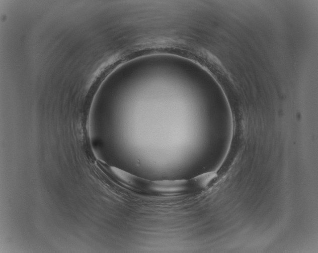 X0000071361218200606261308