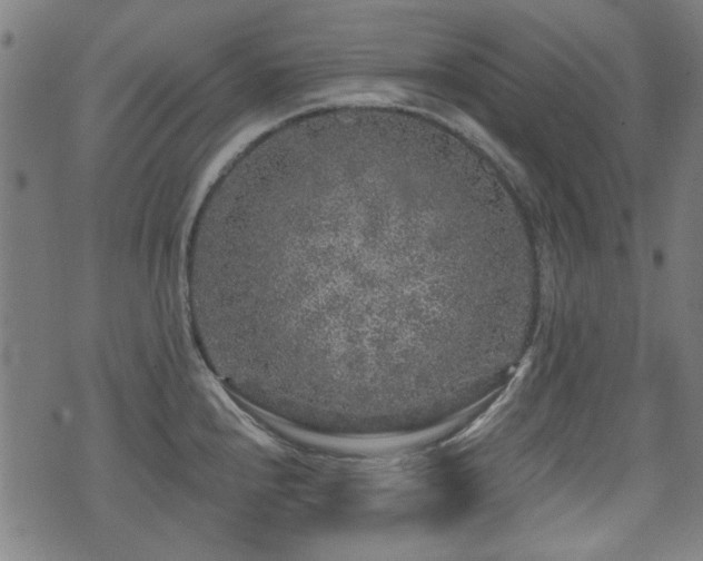 X0000071361240200606261309