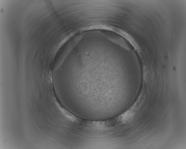 X0000071361241200606261309