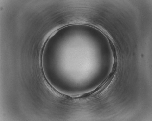 X0000071361246200606261309