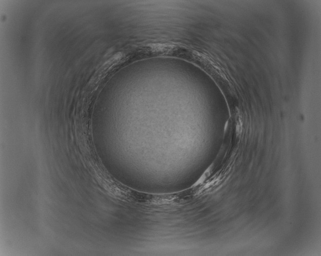 X0000071361249200606261308