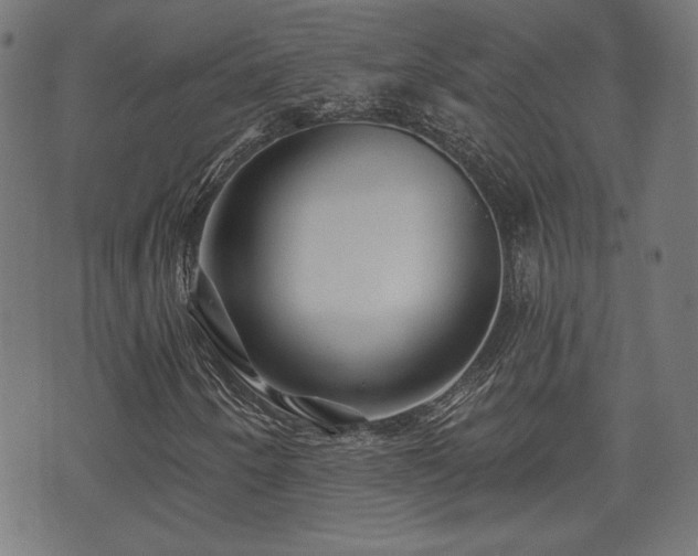 X0000071361250200606261308