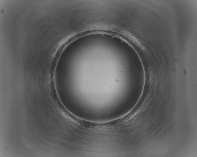 X0000071361264200606261308