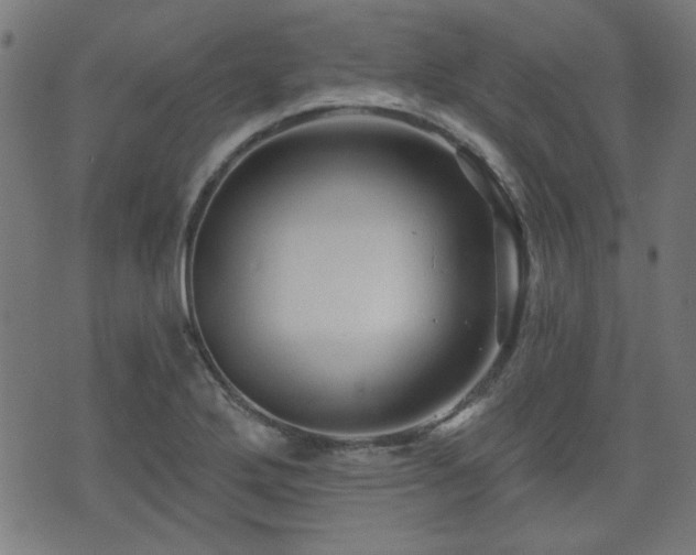 X0000071361272200606261308
