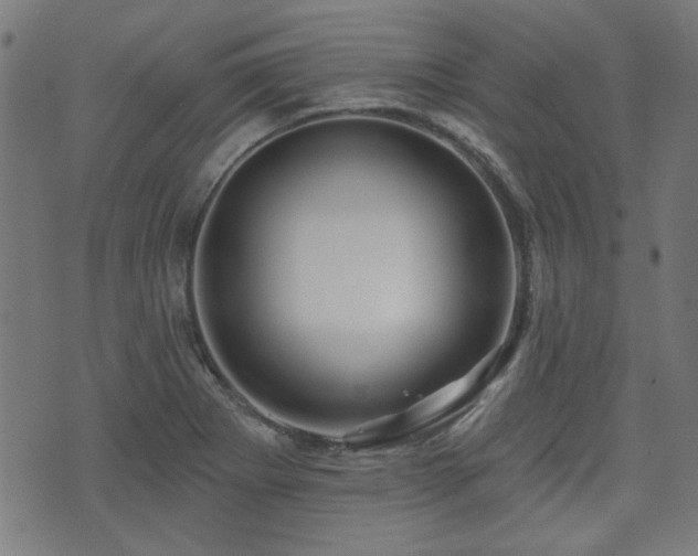 X0000071361273200606261308