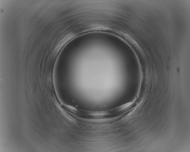 X0000071361281200606261307