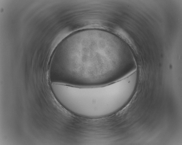 X0000071361284200606261307